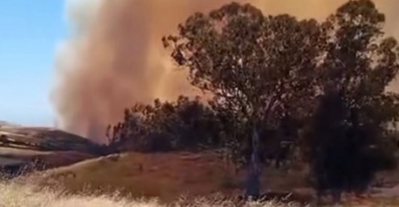 Incendios forestales destruyen la biodiversidad